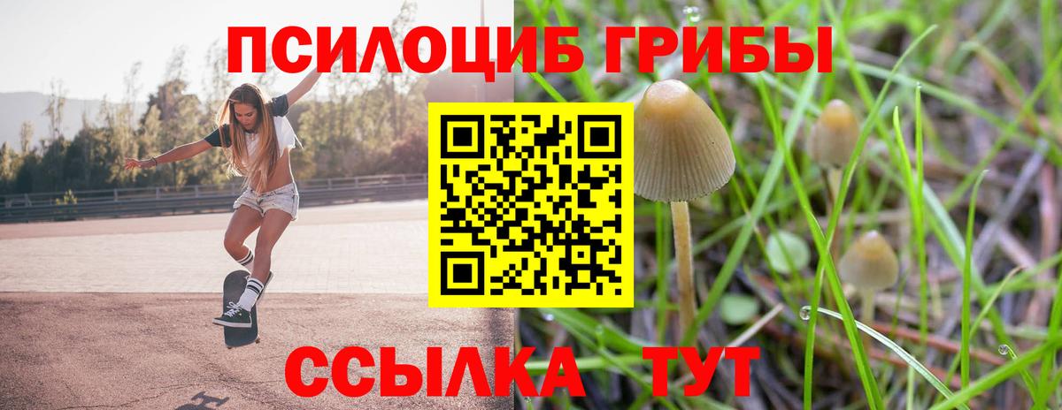 Галлюциногенные грибы Magic Shrooms  Вход с VPN  Галлюциногенные грибы прущие грибы  Благовещенск 